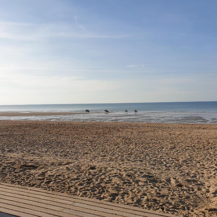 Appartement Studio Proche Mer 4 Pers Residence Calme Avec Parc Blonville-sur-Mer Exteriör bild